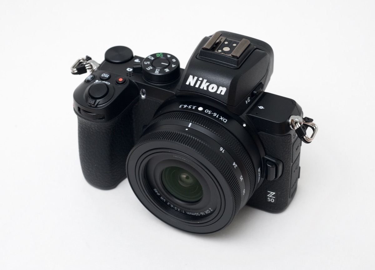Nikon Z50 for Wildlife Photography