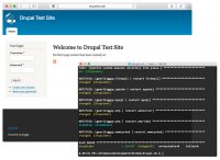 drupal vm solar